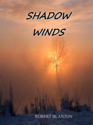 cover image of Shadow Winds